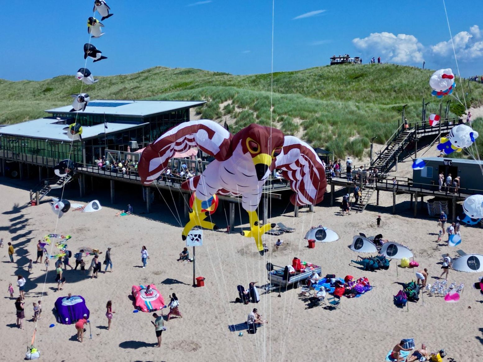 Kleurrijke vliegers vliegen boven het strand, helemaal passend bij de zomer. Foto: Vliegerfeest Callantsoog, Arie Martijn Kleurrijke vliegers vliegen boven het strand, helemaal passend bij de zomer. Foto: Vliegerfeest Callantsoog, Arie Martijn
