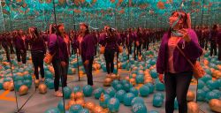 Reportage: je weet niet wat je ziet in Museum van Illusies