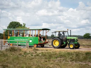 De trekkertram is heel geschikt voor groepsuitjes. Foto: Huifkarverhuur Estelle