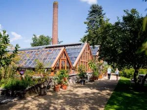 De Oude Hortus Foto: Universiteitsmuseum Utrecht