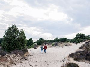 Natuurgebied Mantingerveld