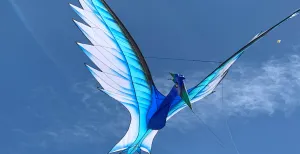 Spektakel in de lucht tijdens de Rijsbergse Vliegerdagen