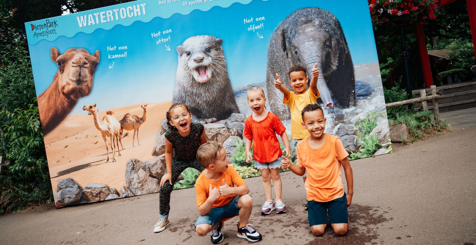 Blijf lekker fris deze zomer in DierenPark Amersfoort en geniet van heel veel waterpret. Foto: DierenPark Amersfoort