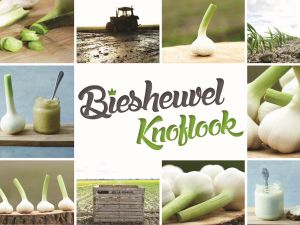 Biesheuvel Knoflook