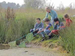 Speur in de sloot naar beestjes. Foto: Marketing Oost © Marketing Vechtdal