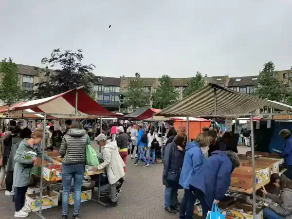 Boekenmarkt Amnesty Houten Amnesty boekenmarkt. Foto: Amnesty Houten