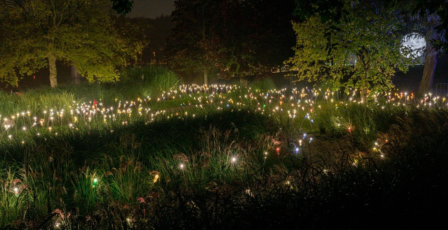 Licht, schaduw, klanken en muziek nemen je mee door betoverende tuinen bij Kasteeltuinen Arcen. Foto: Kasteeltuinen Arcen