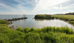 Een tijdreis op het Oudemirdumerklif Een tijdreis op het Oudemirdumerklif | Foto geüpload door gebruiker Natuurmonumenten.