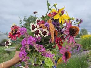 Land in Zicht Bloemenpluktuin, winkel, vergaderlocatie