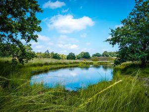 Nationaal Park De Meinweg