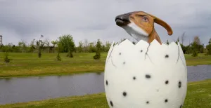 Maak jacht op brullende dino_s Vind alle twintig dino's op het landgoed. Foto: Landgoed Tenaxx