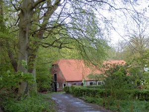 Bezoekerscentrum Het Staelduinse Bos