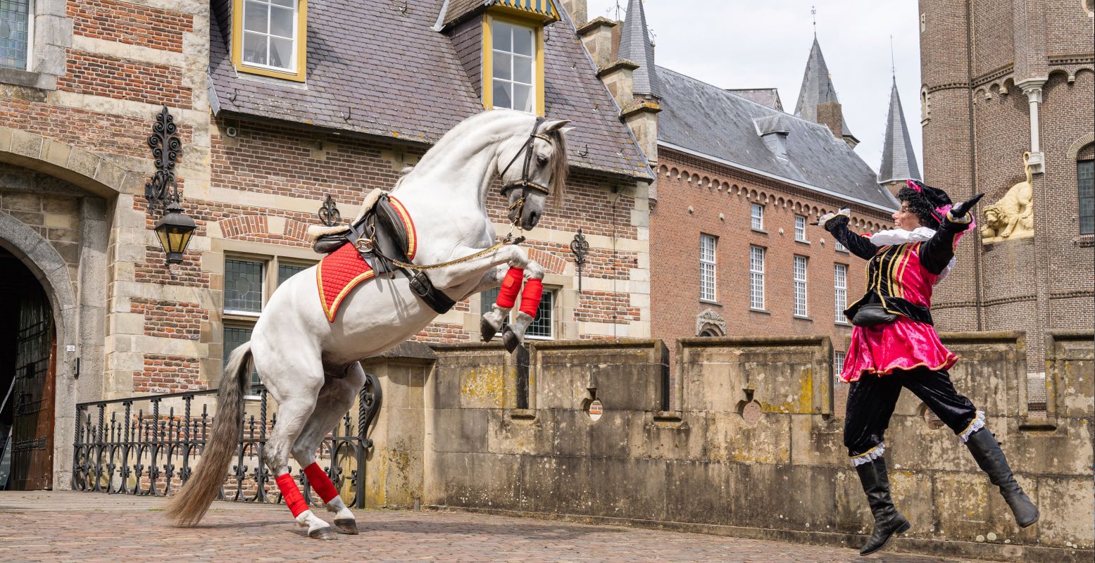 Op 25 november staat er een fandag voor Ozosnel op het programma in Kasteel Heeswijk. Foto: Kasteel Heeswijk