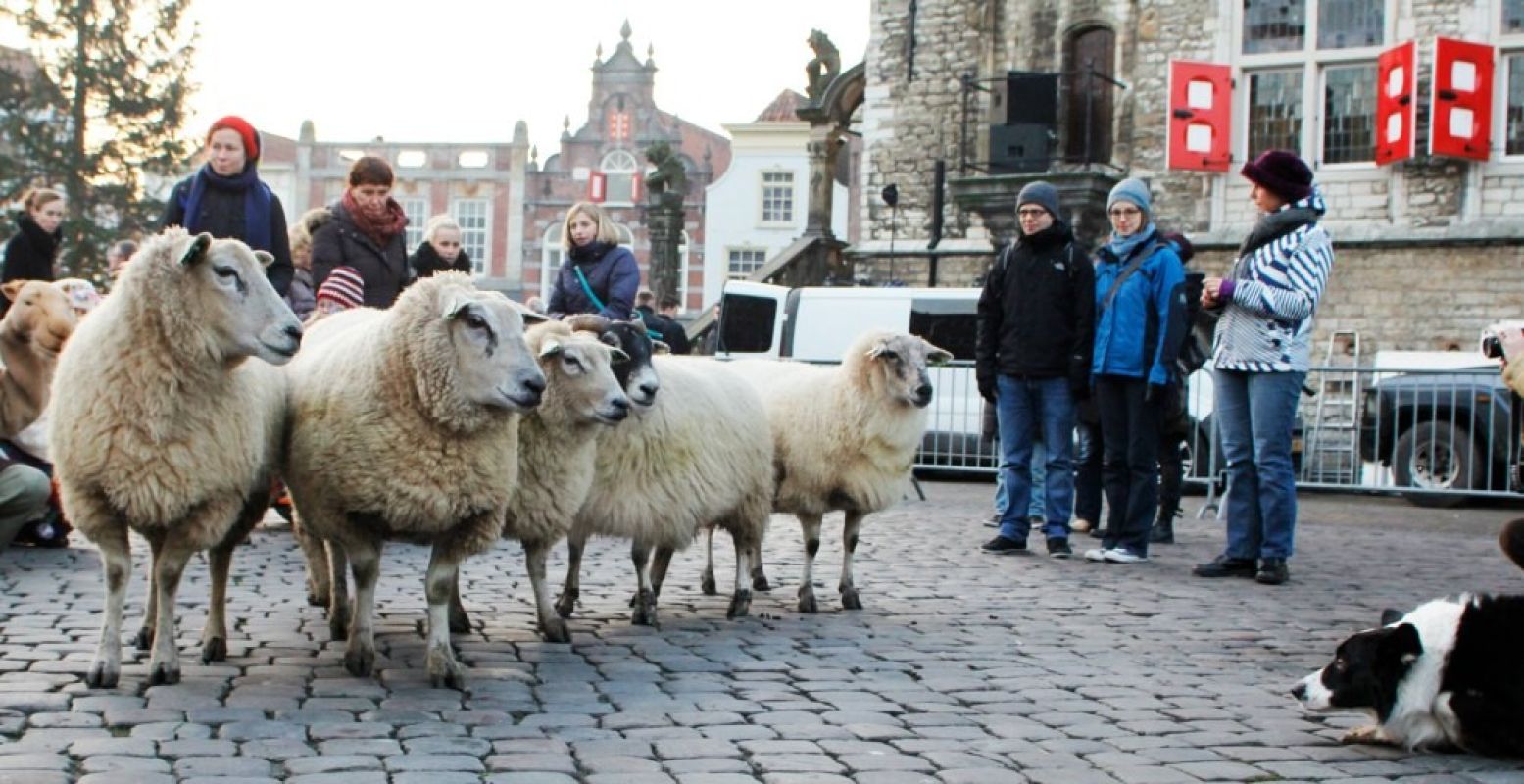 De hele dag is er van alles te beleven in Gouda. Foto: Astrid den Haan