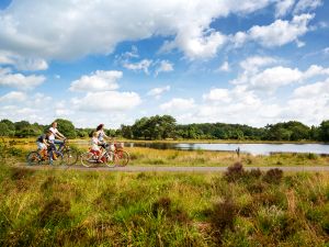 Natuurgebied Terhorsterzand