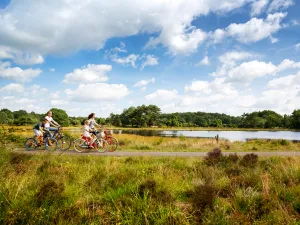 Natuurgebied Terhorsterzand Foto: Marketing Drenthe © Gijs Versteeg