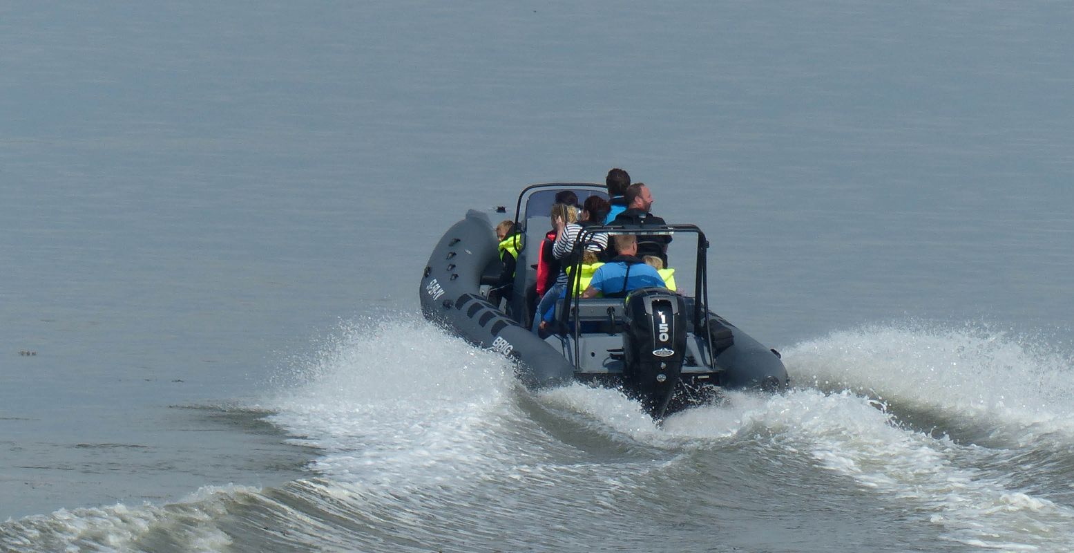 Verken de Westerschelde per boot. Foto: ScheldeSafari