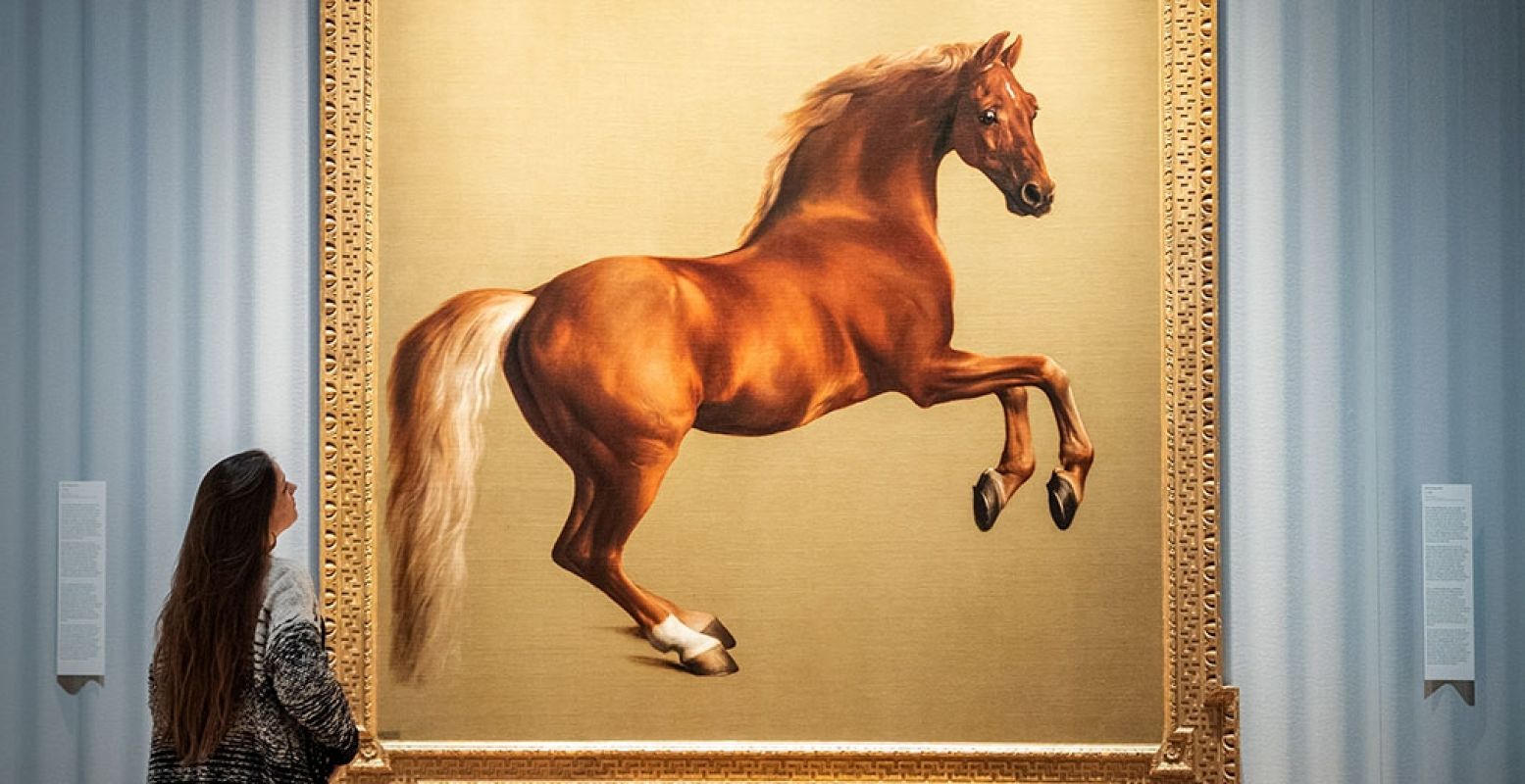 Het schilderij van Whistlejacket in het Mauritshuis. Door George Stubbs, c.1762, doek, 292 x 246,4 cm, Londen, The National Gallery (aangekocht met steun van het Heritage Lottery Fund, 1997). Bijgesneden voor DagjeWeg.NL. Foto: Ivo Hoekstra, Mauritshuis