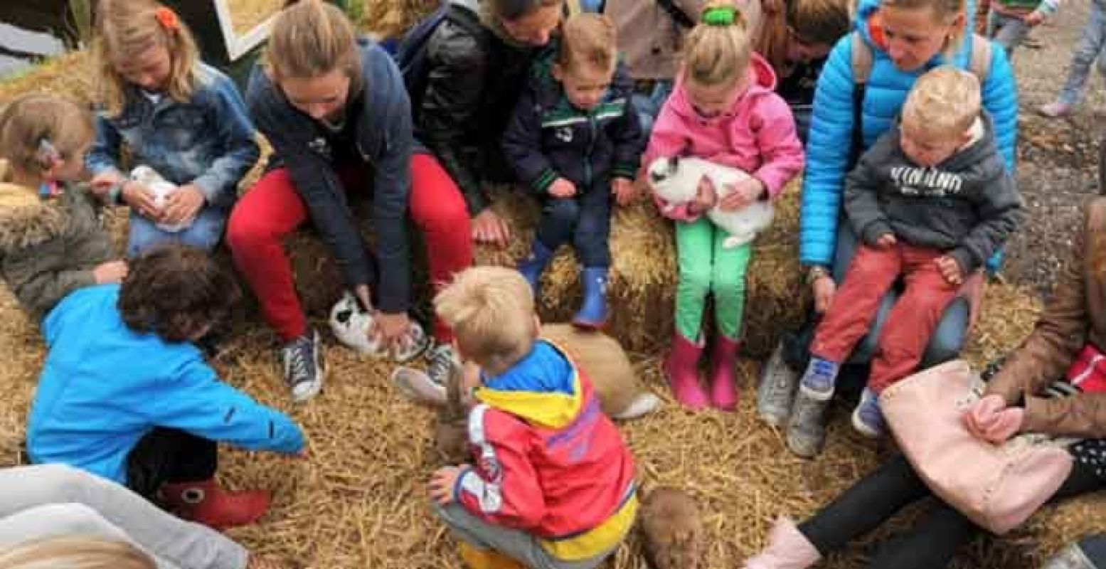 Neem de kinderen mee naar de boerderij, om lekker te knuffelen met jonge dieren! Foto: De Boerinn