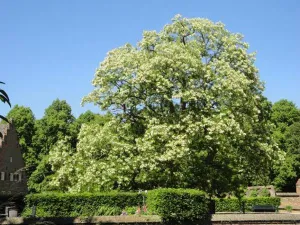 Bezoek Kasteel Doorwerth