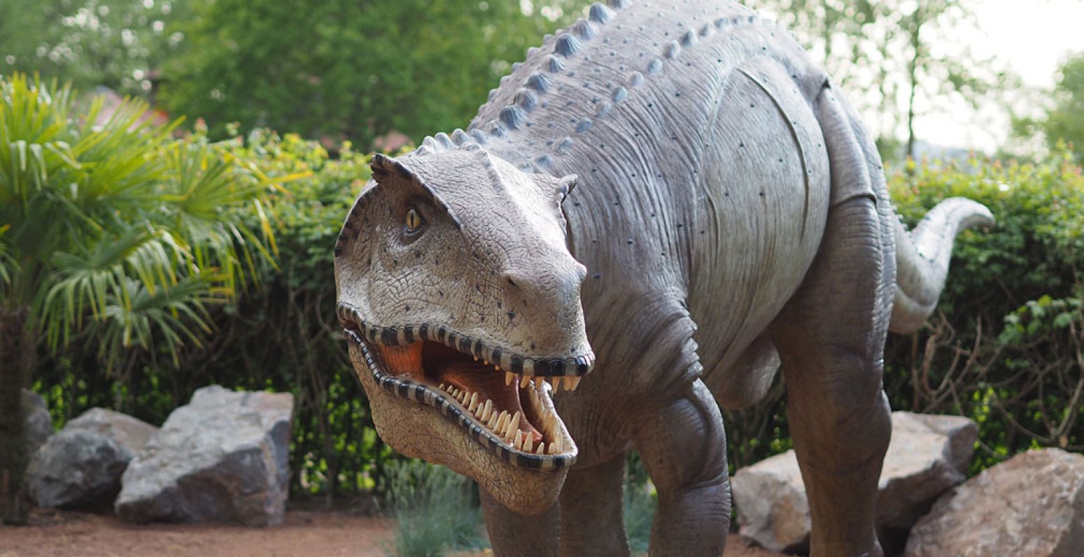 Dino's in allerlei soorten en maten komen naar Dinoland in Zwolle.