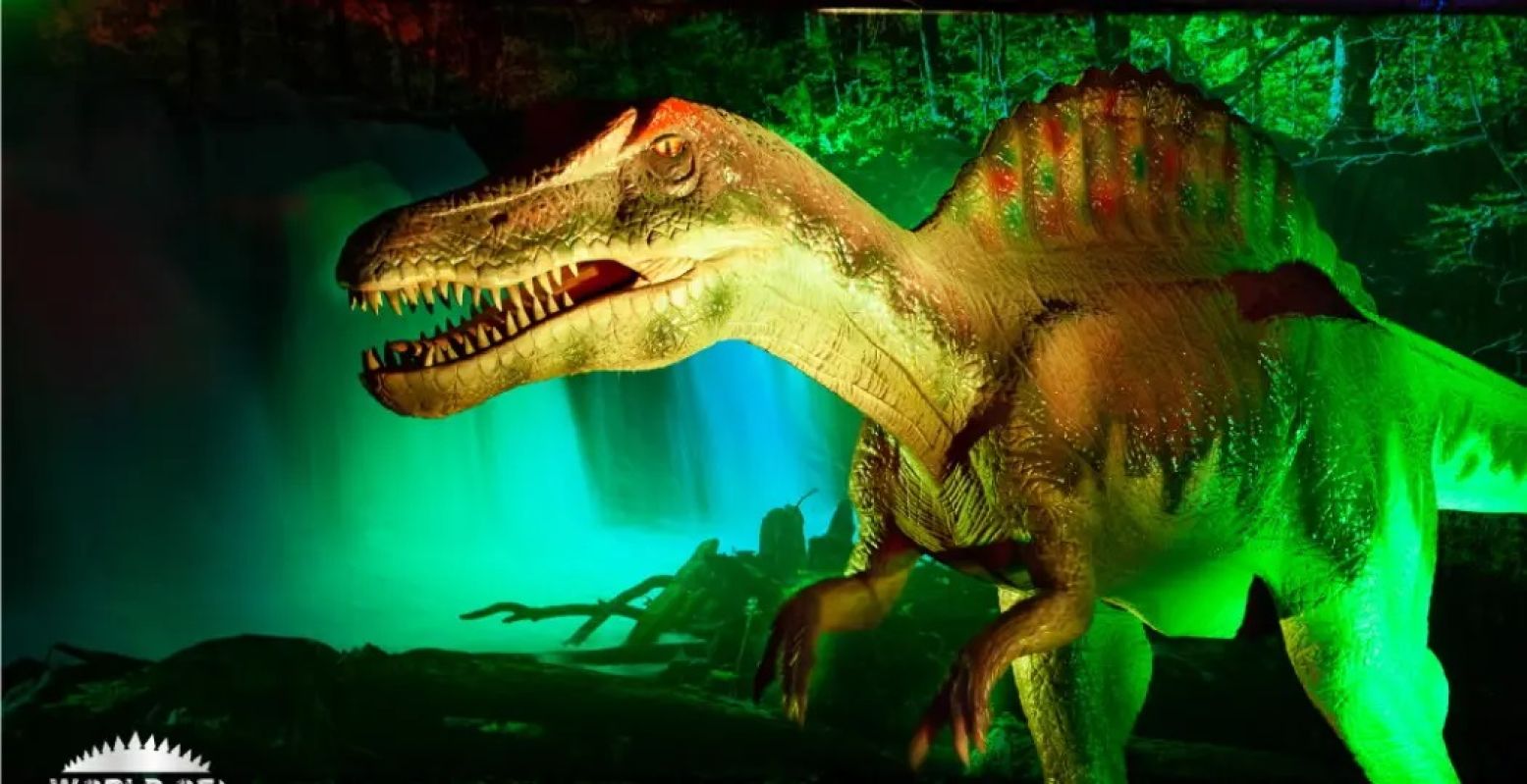 Check snel de naam van deze dino! Foto: World of Dinos