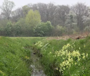 Struinen in de Muggenhoek Foto geüpload door gebruiker Geldersch Landschap en Kasteelen