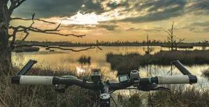 Crossen door de bossen en duinen over de mooiste MTB routes Met de mountainbike kom je op de mooiste plekjes in de natuur. Foto: Matthias Groeneveld via  Pixabay 