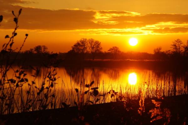 Vaartocht Naardermeer in de avond Vaartocht Naardermeer in de avond | Foto ge&uuml;pload door gebruiker Natuurmonumenten.