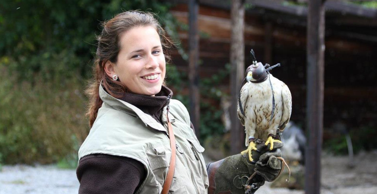 Laat een roofvogel op je arm landen bij Valkerij Falconcrest in Eindhoven. Foto: Valkerij Falconcrest