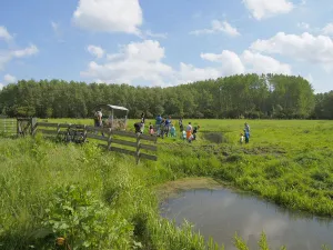 Soorten en Slootjesdag Fotograaf: Natuurmuseum FrieslandFoto geüpload door gebruiker.
