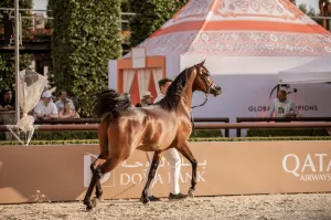 De Global Champions Arabians Tour Global Champions Arabians Tour 1 - Fotograaf onbekend