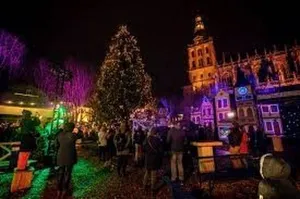 Bosch winterparadijs Foto geüpload door gebruiker Stichting Liniebreed Ondernemen.