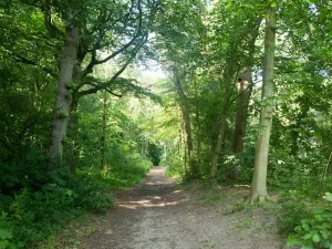 Verken de wandelpaden van Caprera. Foto: Wandelpark Caprera.