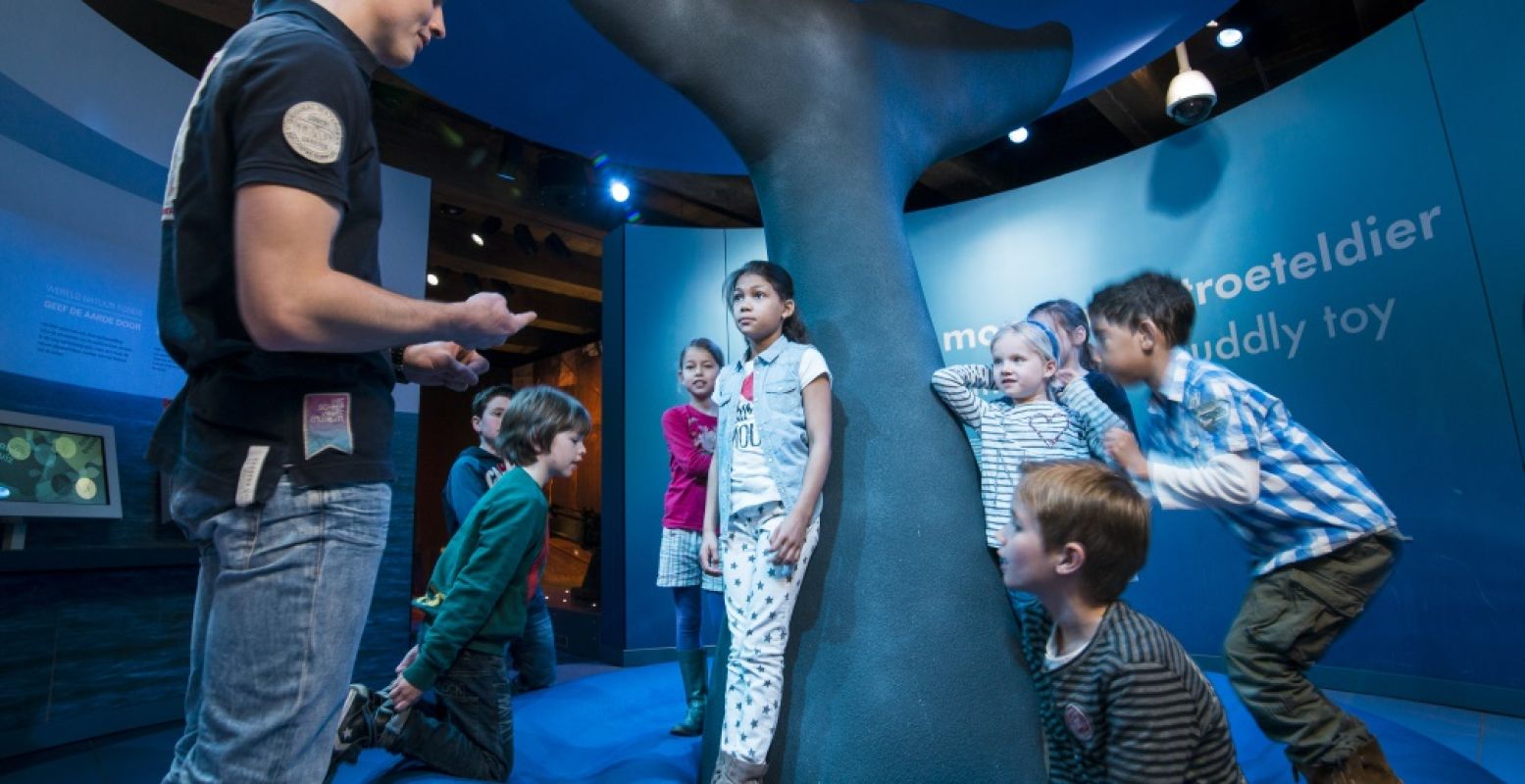 Leer meer over de walvis in Het Scheepvaartmuseum. Foto: Het Scheepvaartmuseum Amsterdam / persbericht