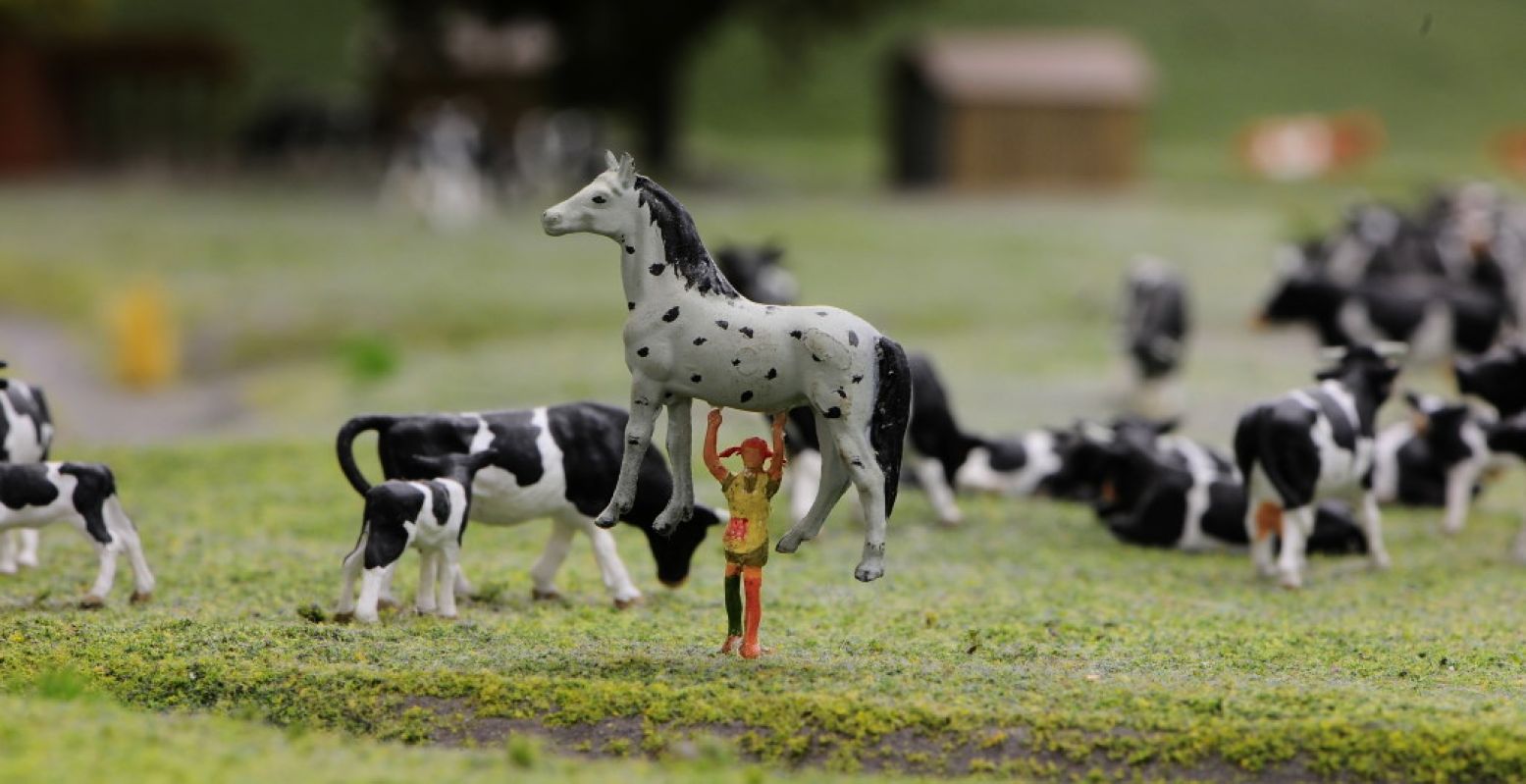 Vind alle grappige details in de miniatuurwereld. Foto: Miniworld Rotterdam