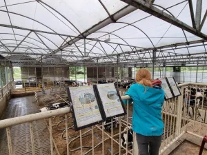 De moderne stal is voorzien een heus uitzichtpunt. Foto: DagjeWeg.NL