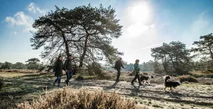 Lekker uitwaaien op de Hoge Veluwe Het is altijd heerlijk wandelen en fietsen in de mooie natuur van Nationaal Park De Hoge Veluwe. Foto: Nationaal Park De Hoge Veluwe © Robert Modderkolk