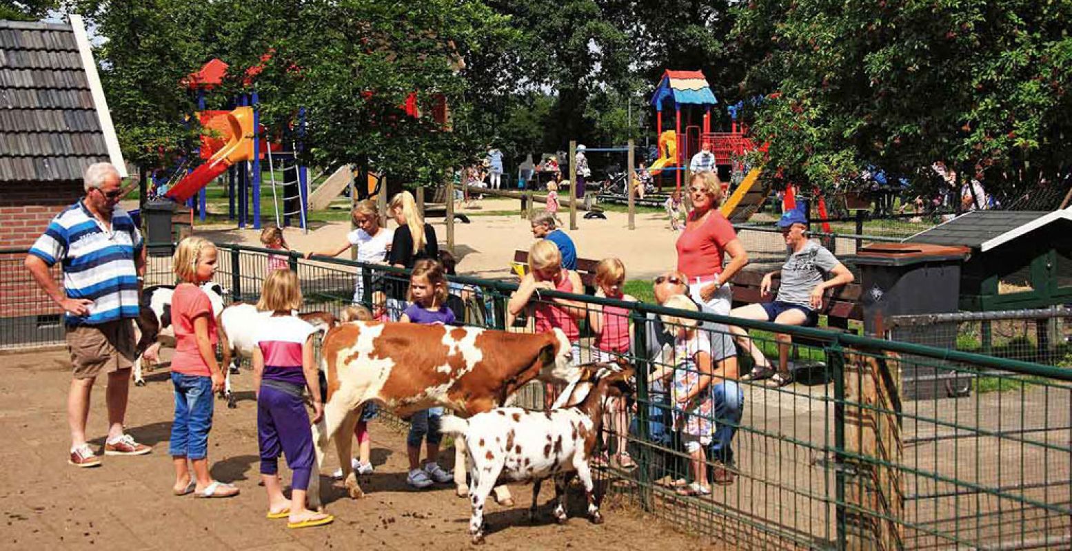 Op bezoek bij de dieren en spelen in de speeltuin. Foto: Kinderboerderij Dondertman