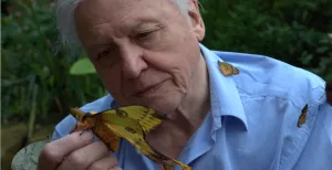 Bekijk de mooiste natuurfilms in virtual reality bij jou in de buurt David Attenborough's First Life. Foto: Nu:Reality