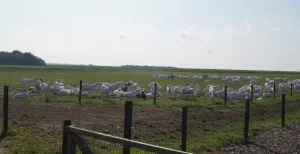 5 dagjes uit op het platteland