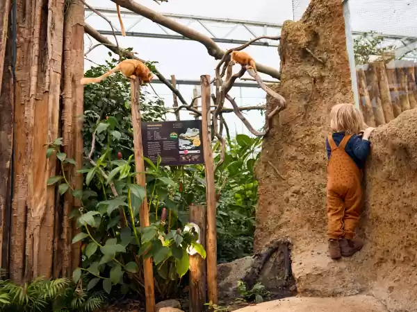 ZooParc Overloon is een avontuur voor jong en oud. Foto: ZooParc Overloon