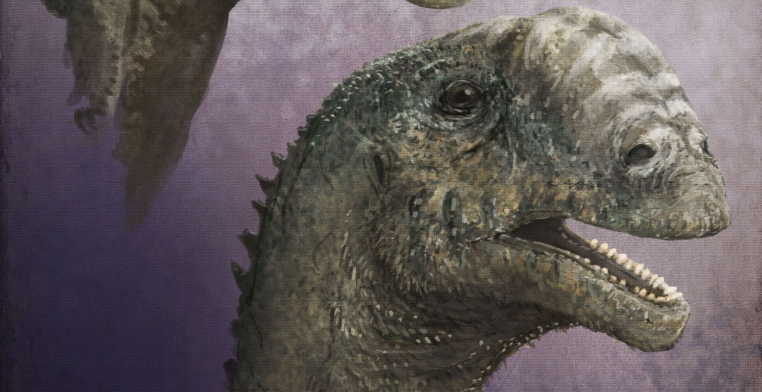 Een hedendaags dinoportret: Mark Witton, Europasaurus holgeri, 2016.