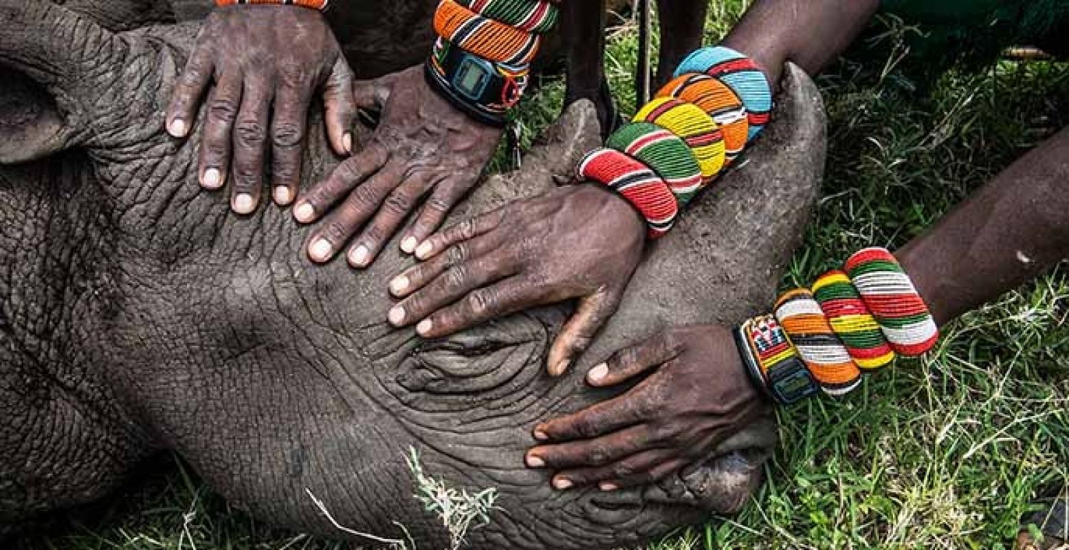 Tweede prijs in de categorie Natuur. Foto: Ami Vitale, USA, National Geographic