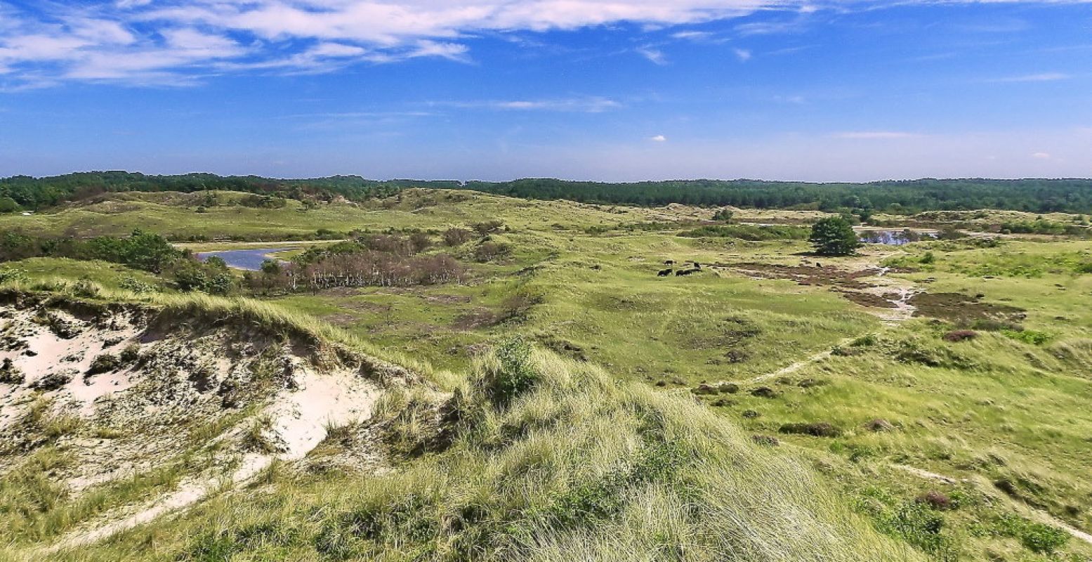 Eerst fietsen en dan picknicken in de duinen bij Zandvoort. Foto: Behind The Beach