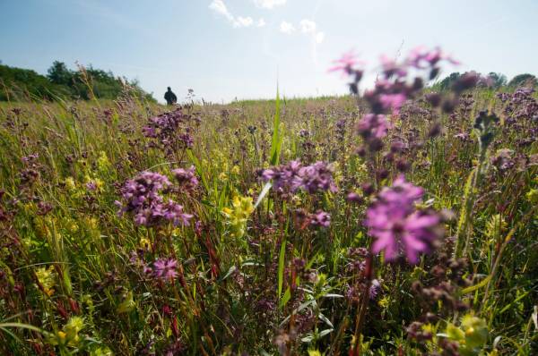 Vaartocht langs de Vlietlanden bij Vlaardingen Vaartocht langs de Vlietlanden bij Vlaardingen | Foto ge&uuml;pload door gebruiker Natuurmonumenten.