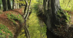 Ontdek de sprengen rondom Laag Soeren Ontdek de sprengen rondom Laag Soeren | Foto geüpload door gebruiker Natuurmonumenten.