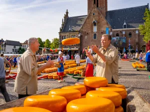 Zie de kaasdragers hard aan het werk. Foto: Beeldbank Alkmaar © Ed van de Pol
