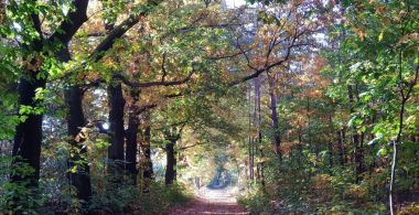 Wat te doen in en om Garderen?