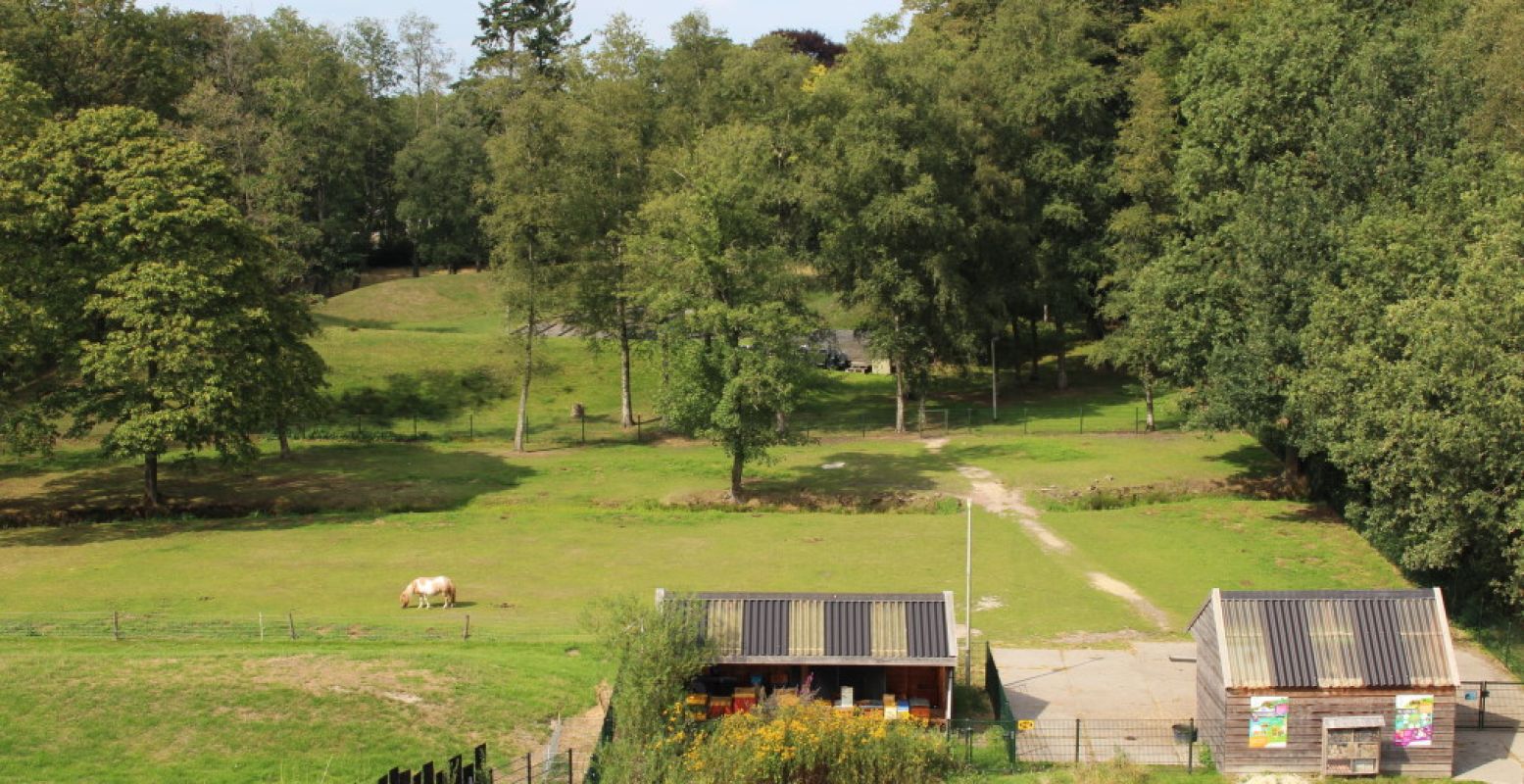 In het Asserbos vind je een kinderboerderij en het Duurzaamheidscentrum Assen. Foto: DagjeWeg.NL.